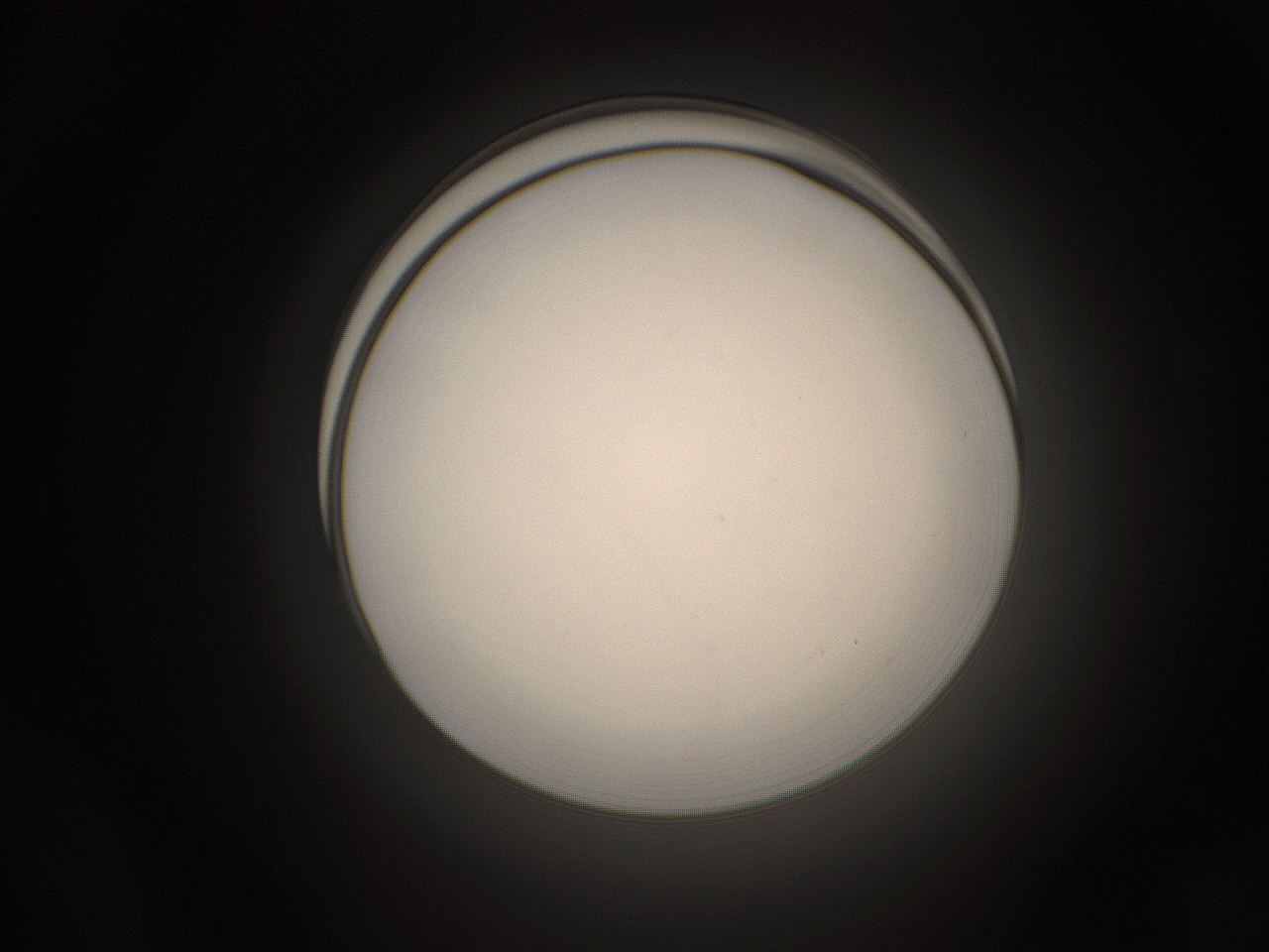 05pq_A24_ImagerDefaults_1.jpg