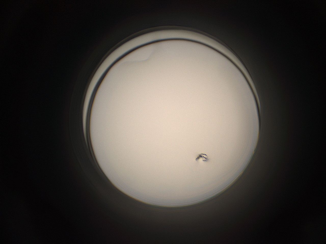 05pq_C24_ImagerDefaults_1.jpg