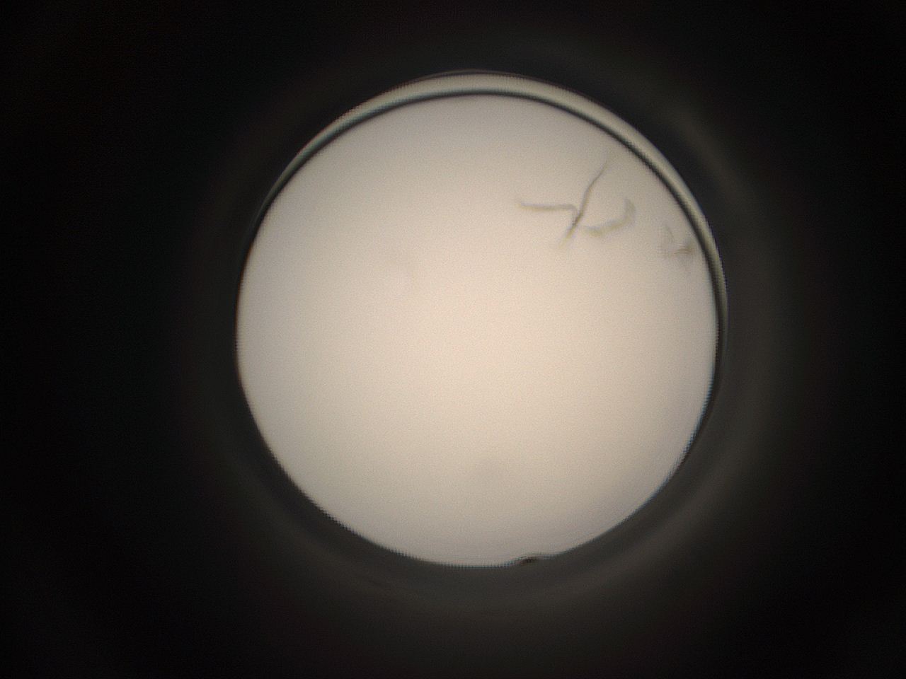 05pq_E12_ImagerDefaults_1.jpg