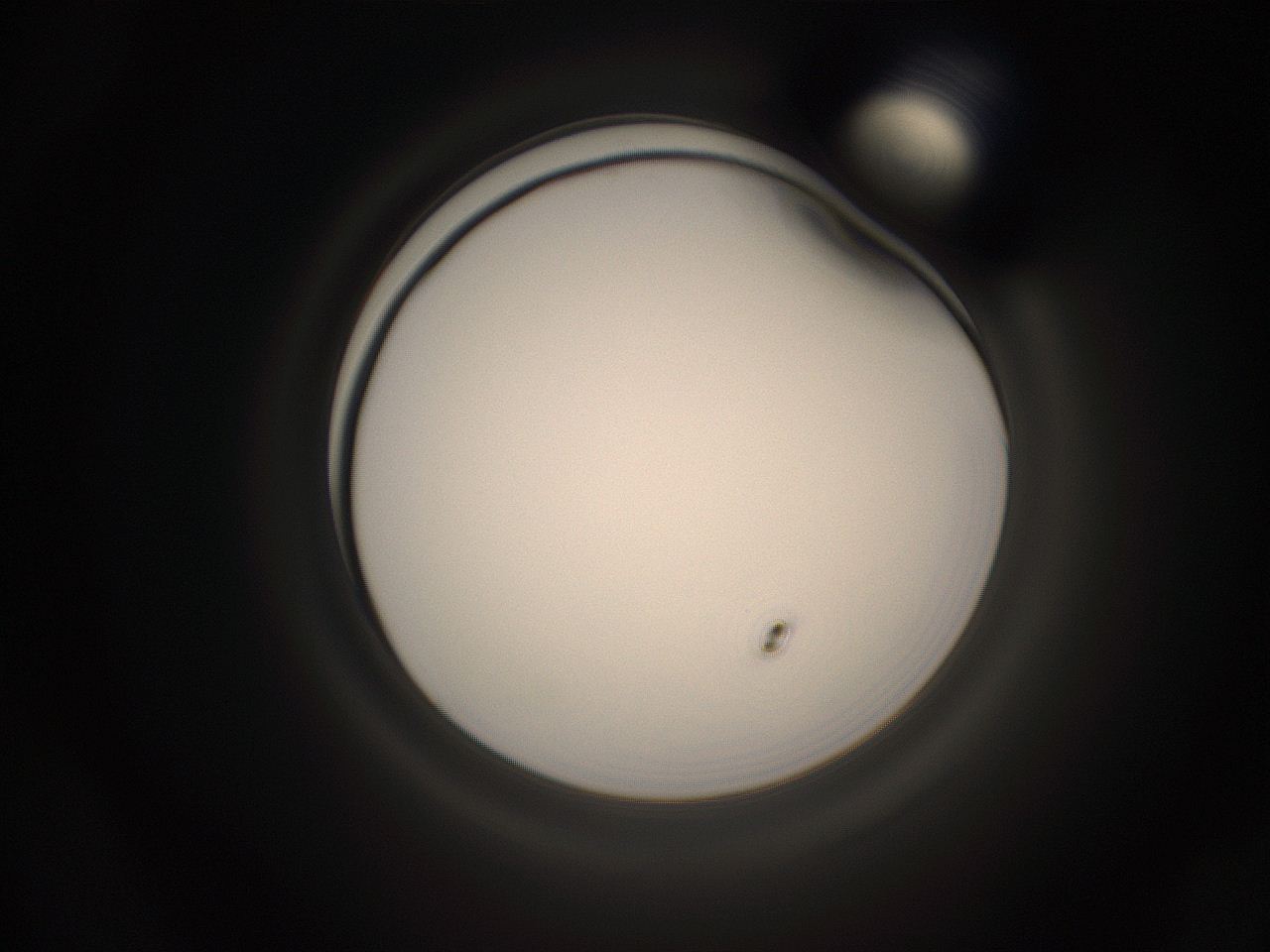 05pq_F18_ImagerDefaults_1.jpg