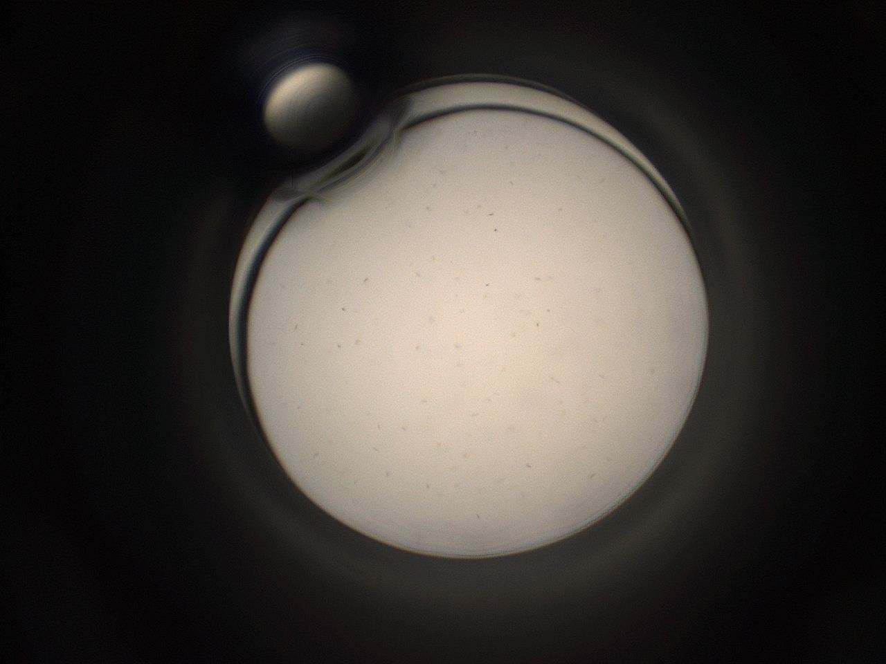 05pq_F19_ImagerDefaults_9.jpg