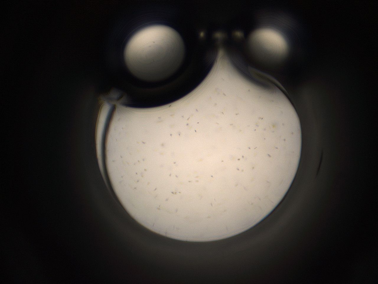 05pq_F20_ImagerDefaults_9.jpg