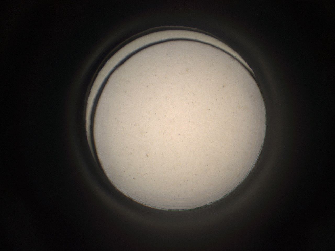 05pq_F21_ImagerDefaults_9.jpg