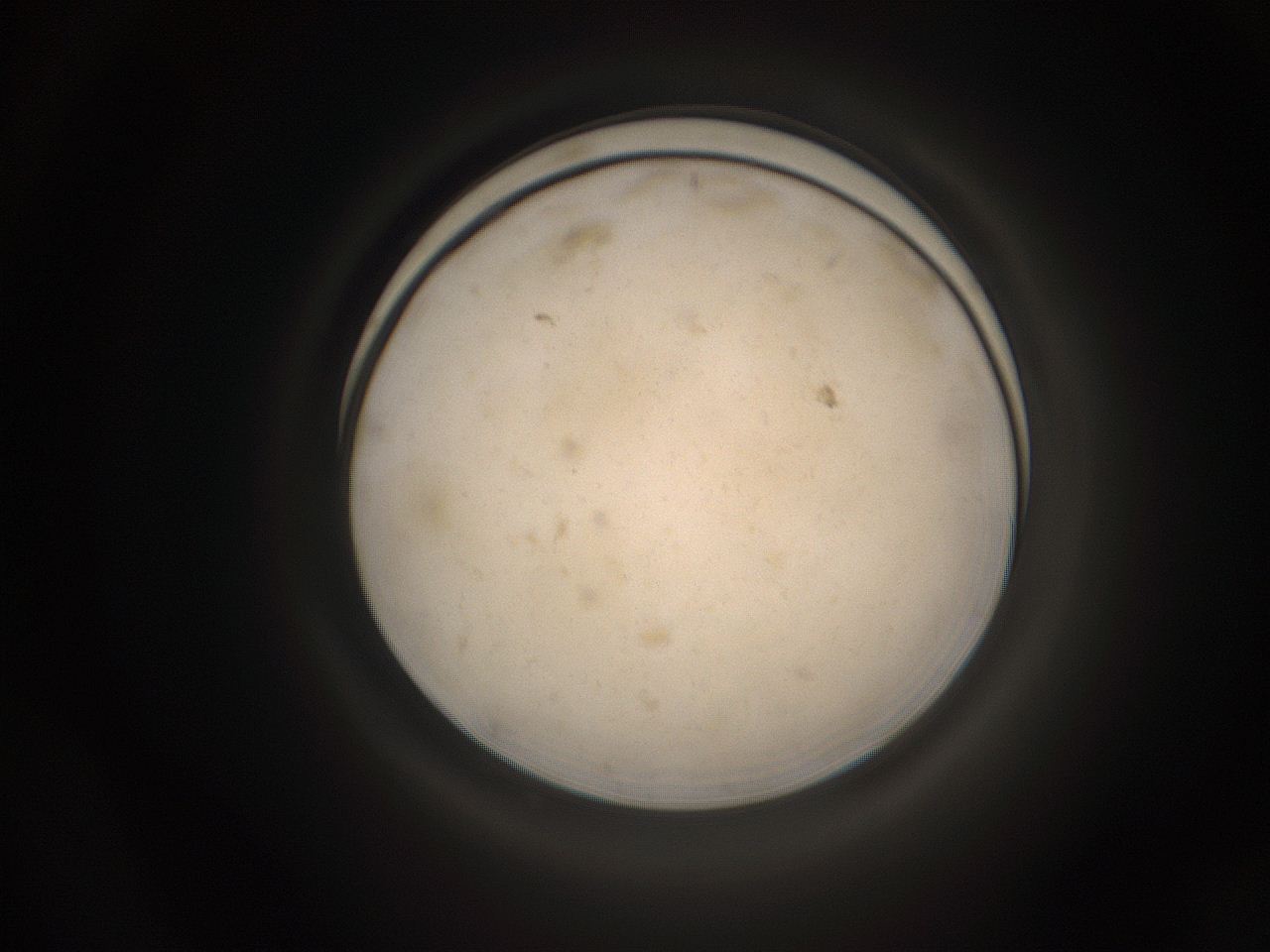 05pq_F23_ImagerDefaults_9.jpg