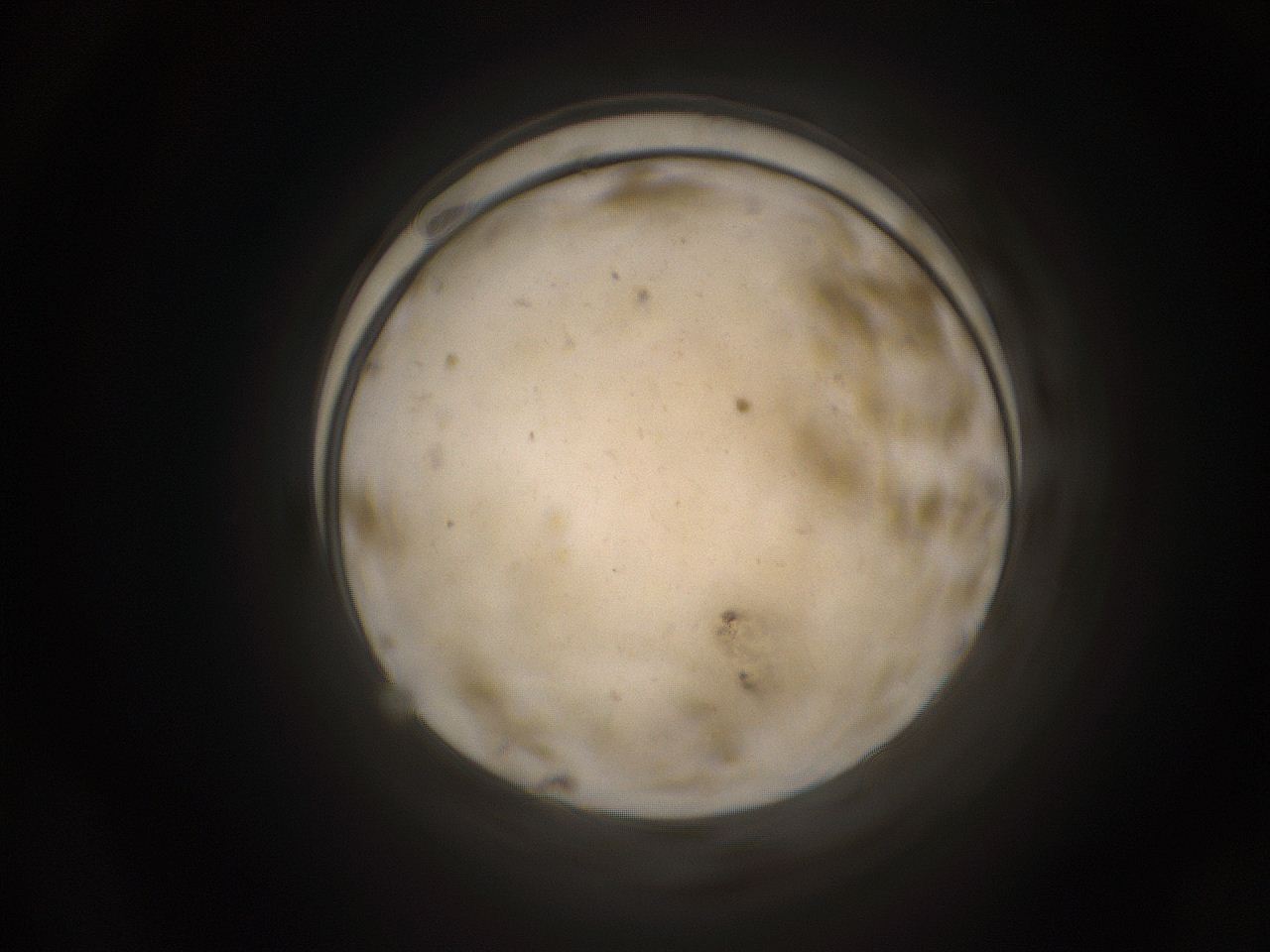 05pq_F24_ImagerDefaults_9.jpg