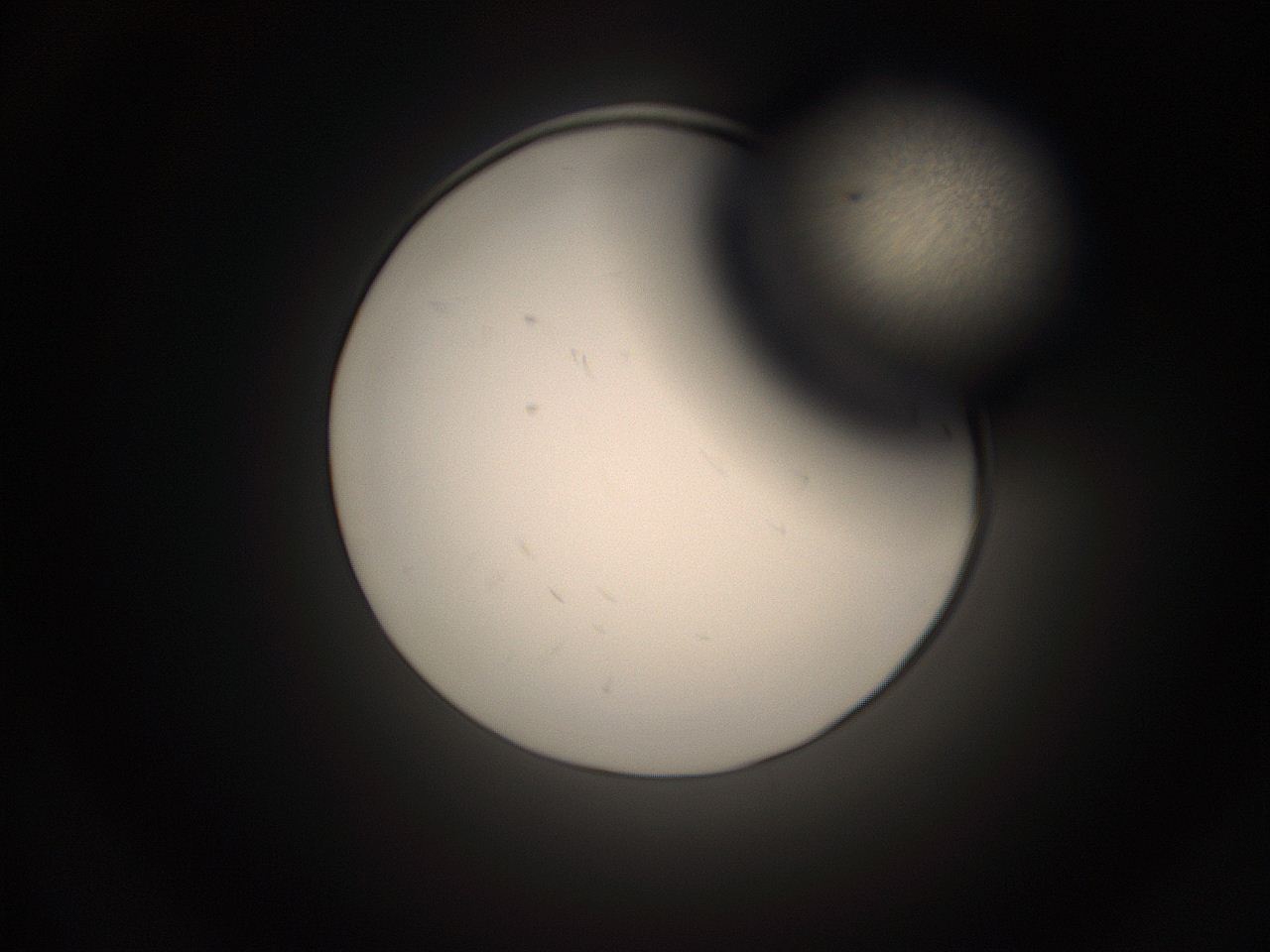 05pq_G5_ImagerDefaults_1.jpg
