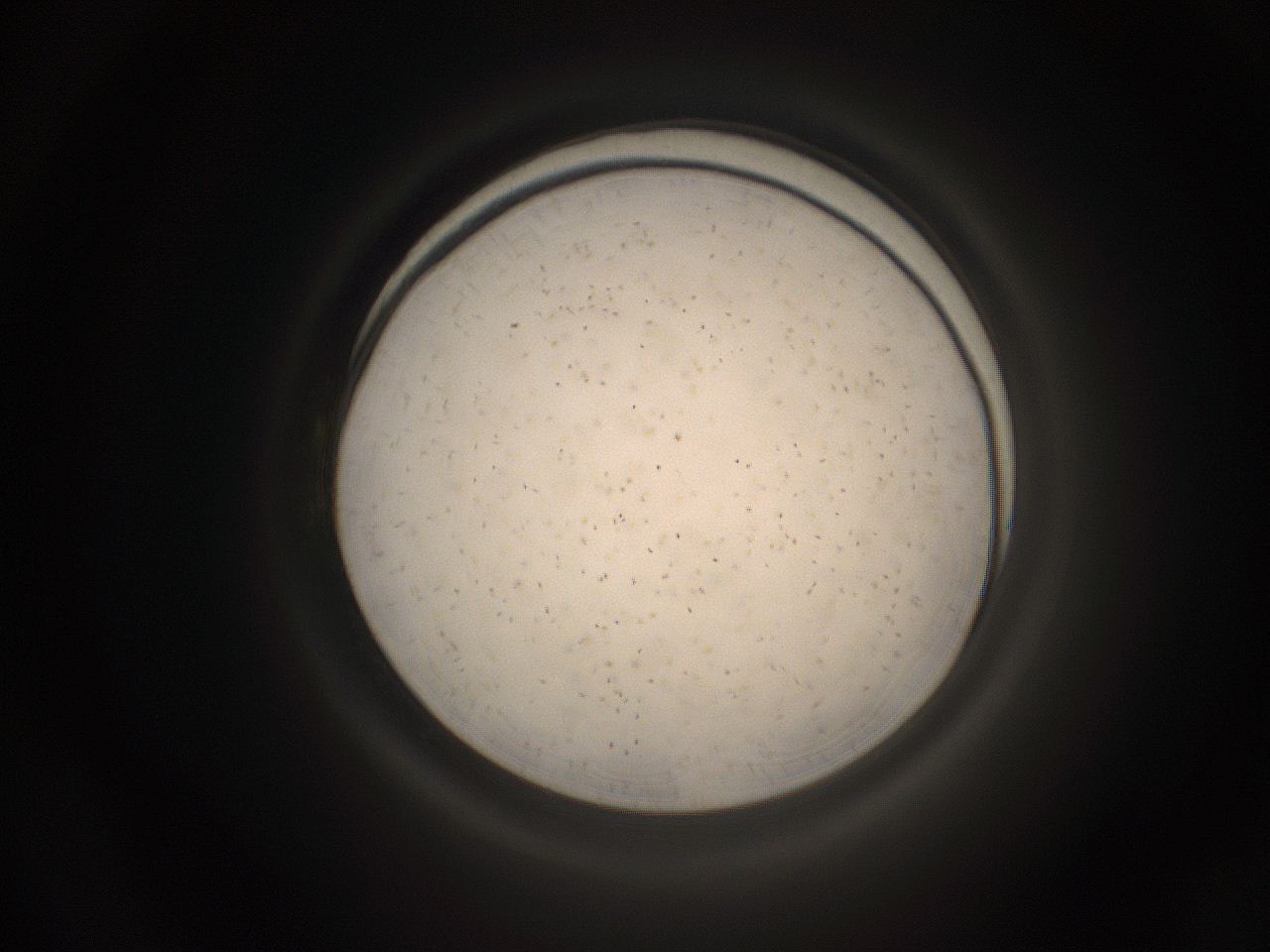 05pq_G23_ImagerDefaults_9.jpg