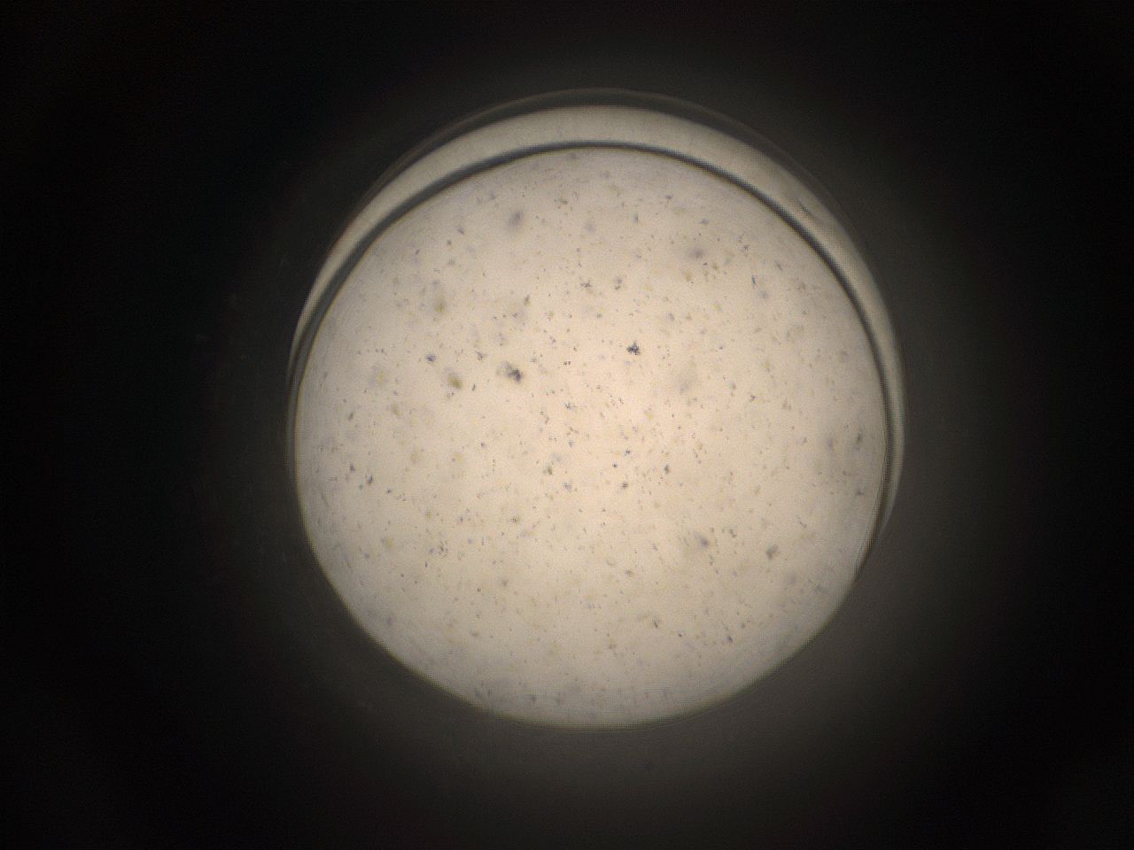 05pq_G24_ImagerDefaults_9.jpg