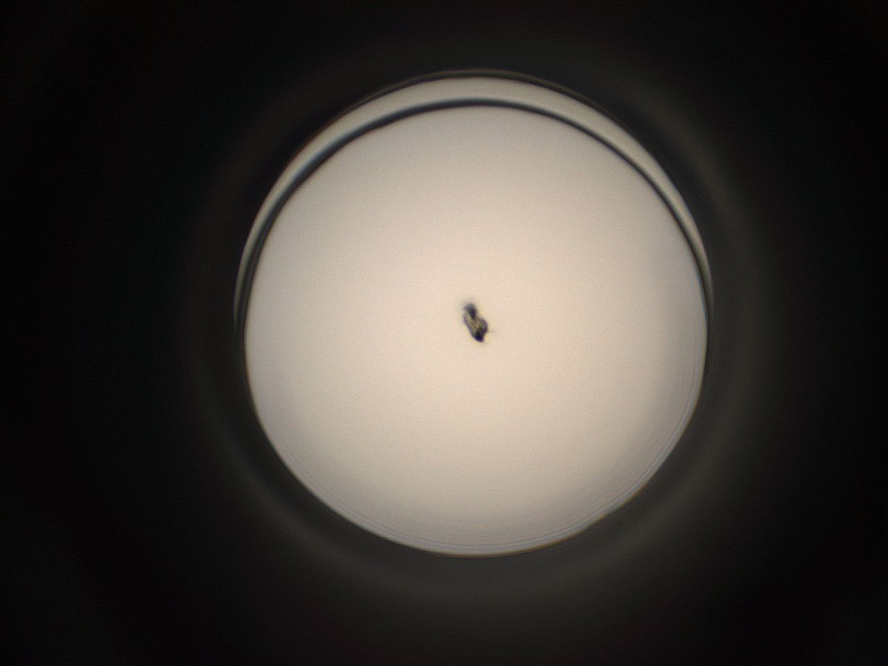 05pq_H20_ImagerDefaults_1.jpg