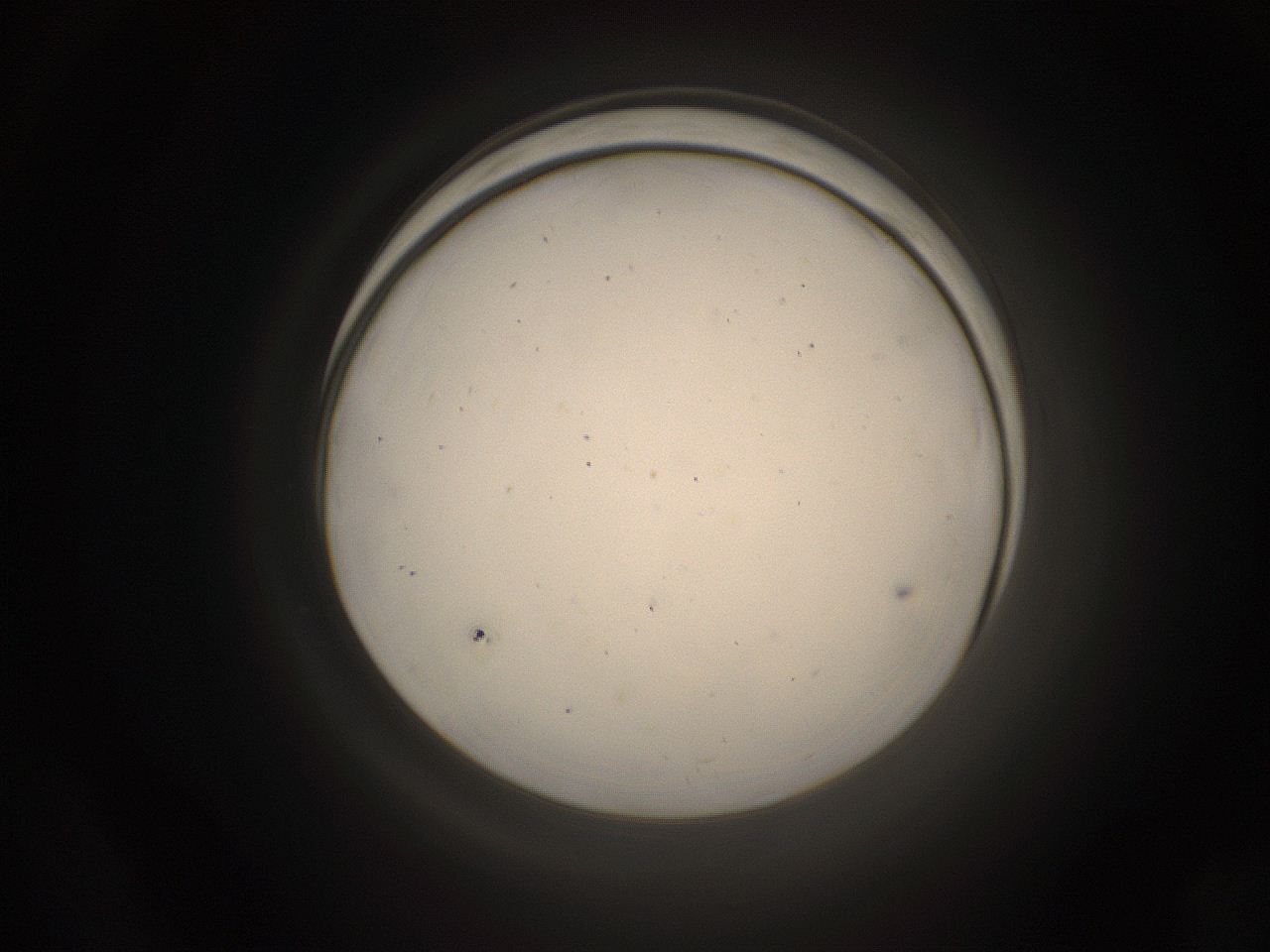 05pq_H24_ImagerDefaults_1.jpg