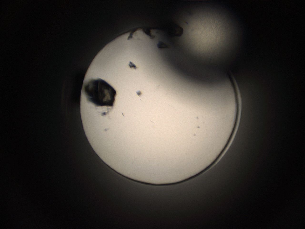 05pq_I8_ImagerDefaults_1.jpg