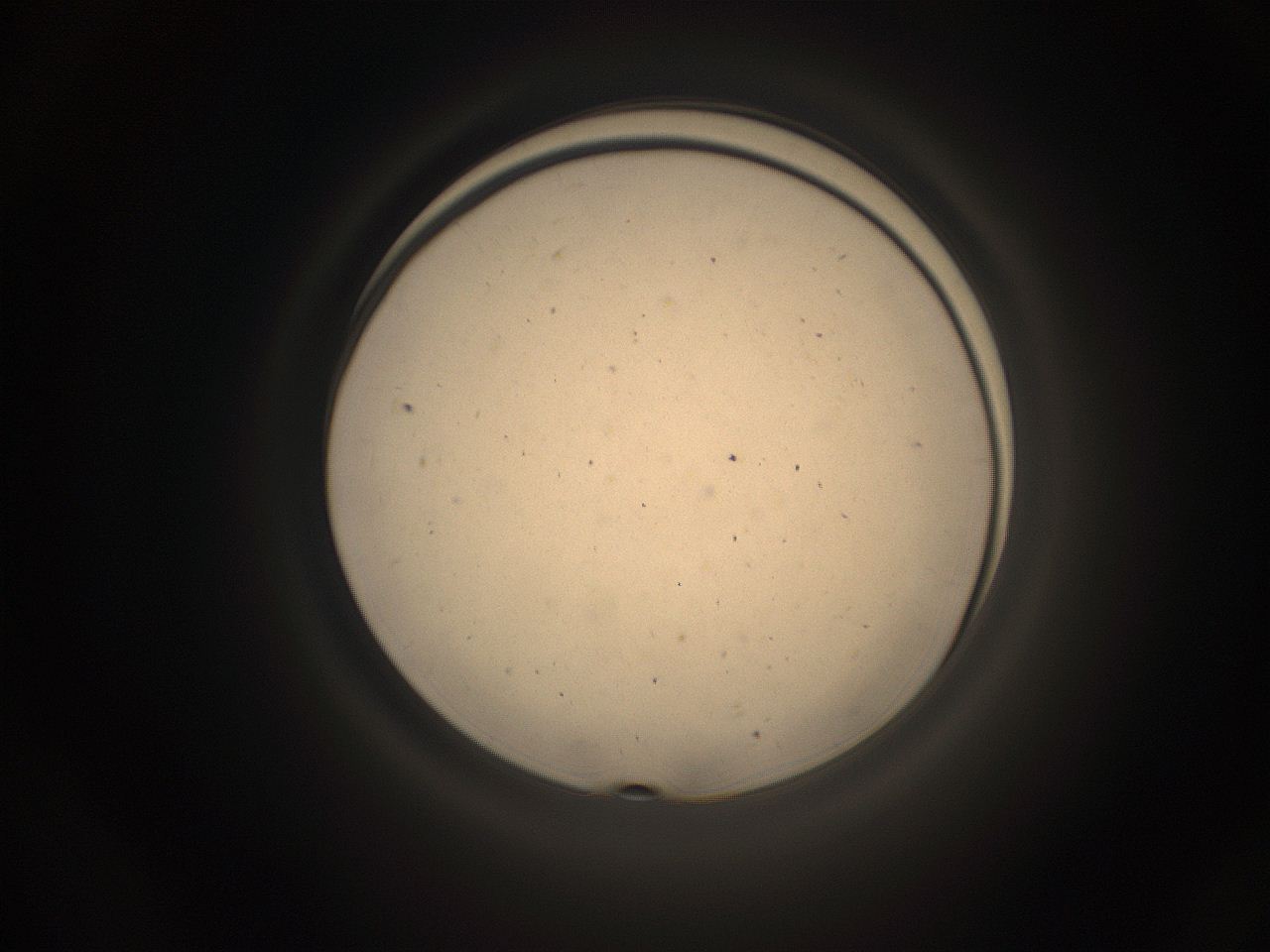05pq_K23_ImagerDefaults_9.jpg