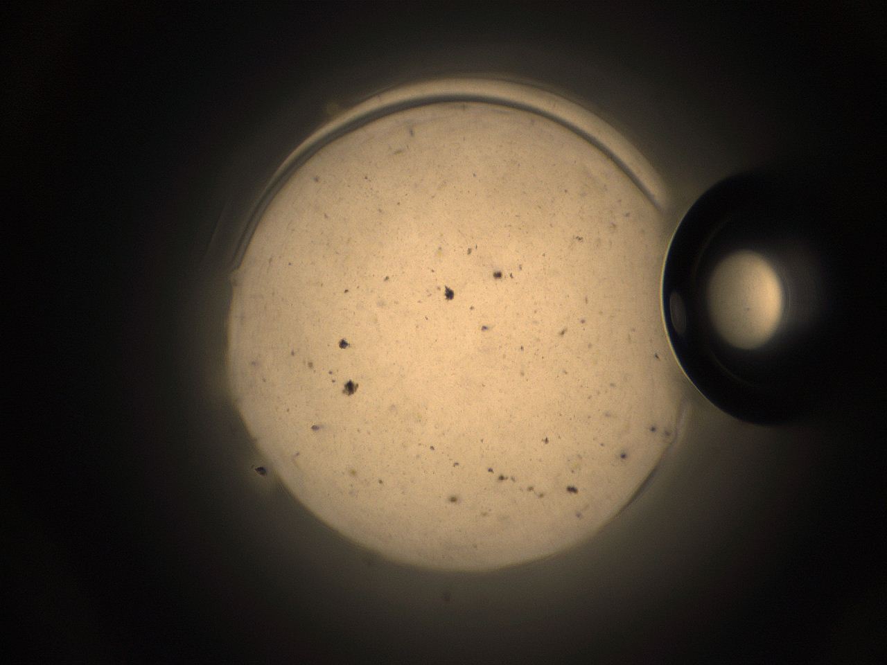 05pq_K24_ImagerDefaults_9.jpg