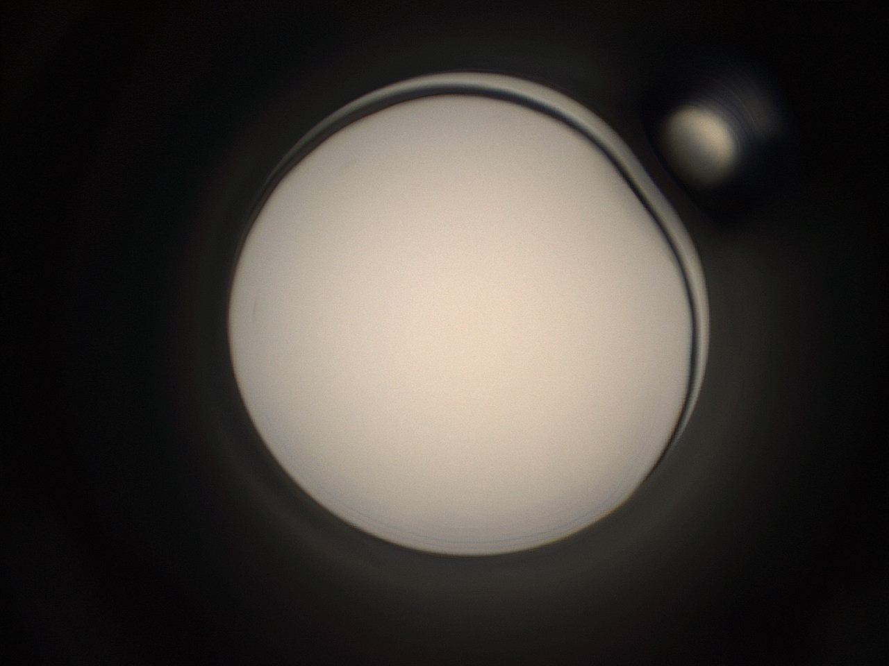 05pq_O21_ImagerDefaults_1.jpg