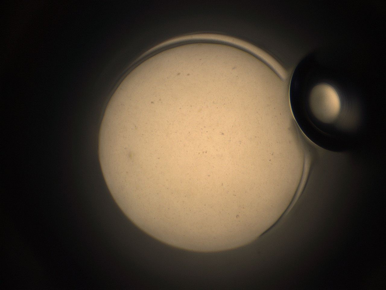 05pq_O24_ImagerDefaults_9.jpg