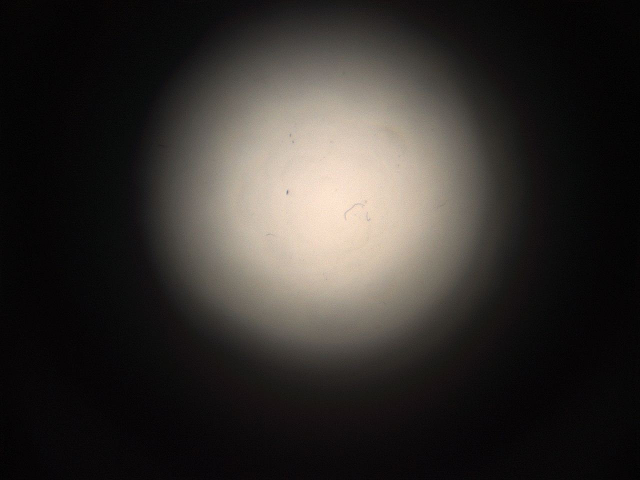 05pq_P4_ImagerDefaults_1.jpg
