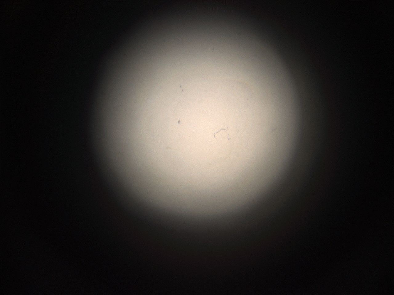 05pq_P5_ImagerDefaults_1.jpg