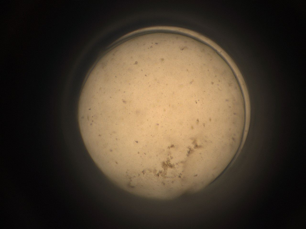 05pq_P24_ImagerDefaults_9.jpg