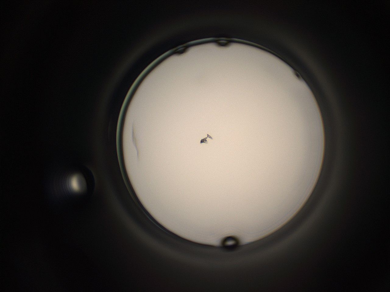 05q0_B16_ImagerDefaults_1.jpg