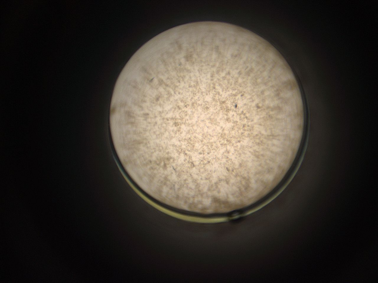05q0_F1_ImagerDefaults_9.jpg