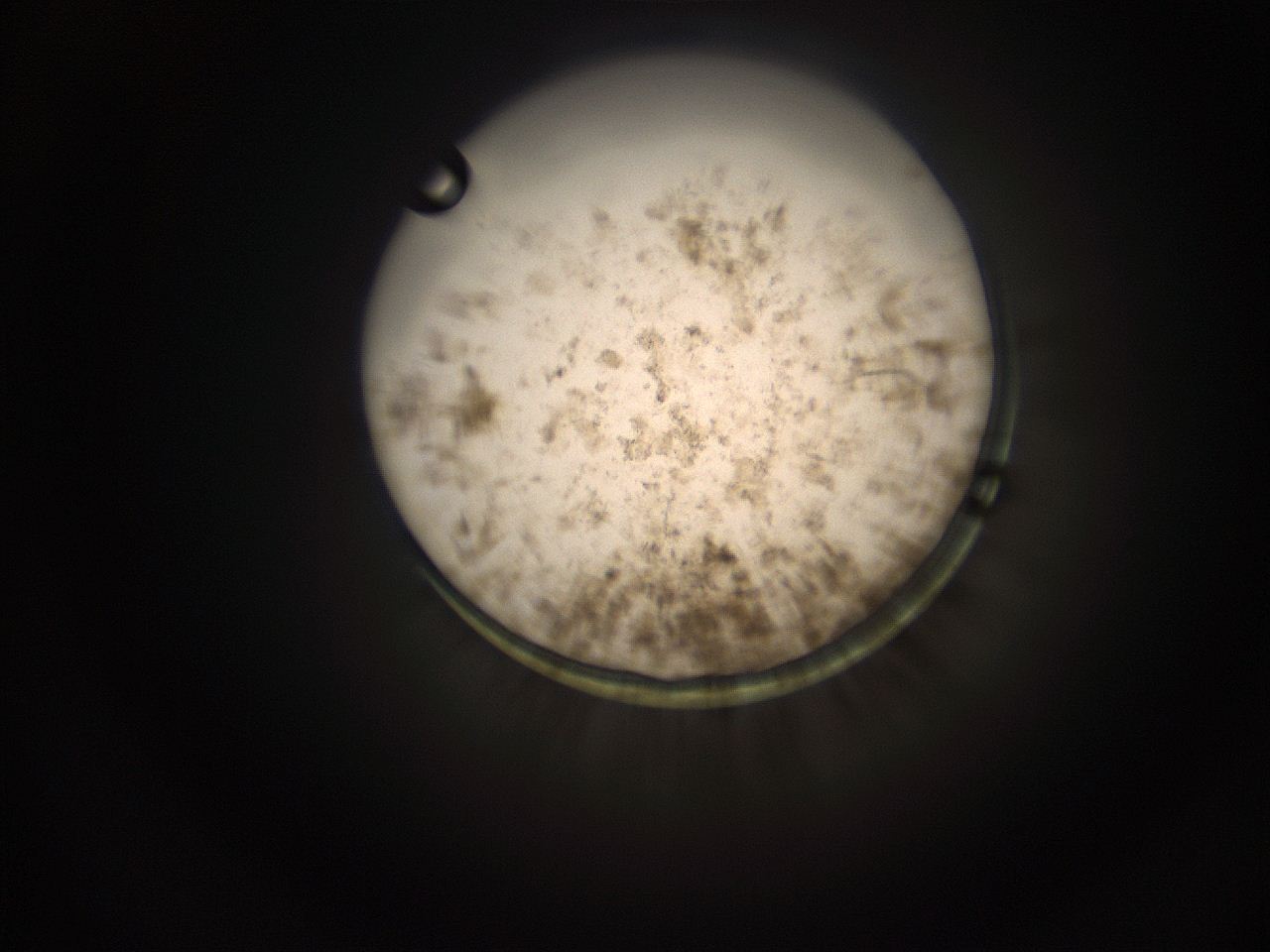 05q0_J1_ImagerDefaults_9.jpg
