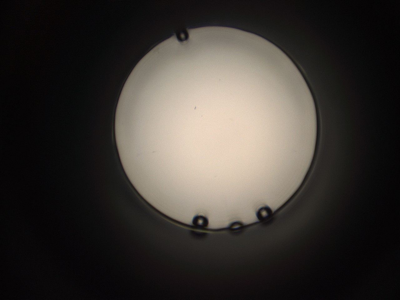 05q0_K9_ImagerDefaults_1.jpg