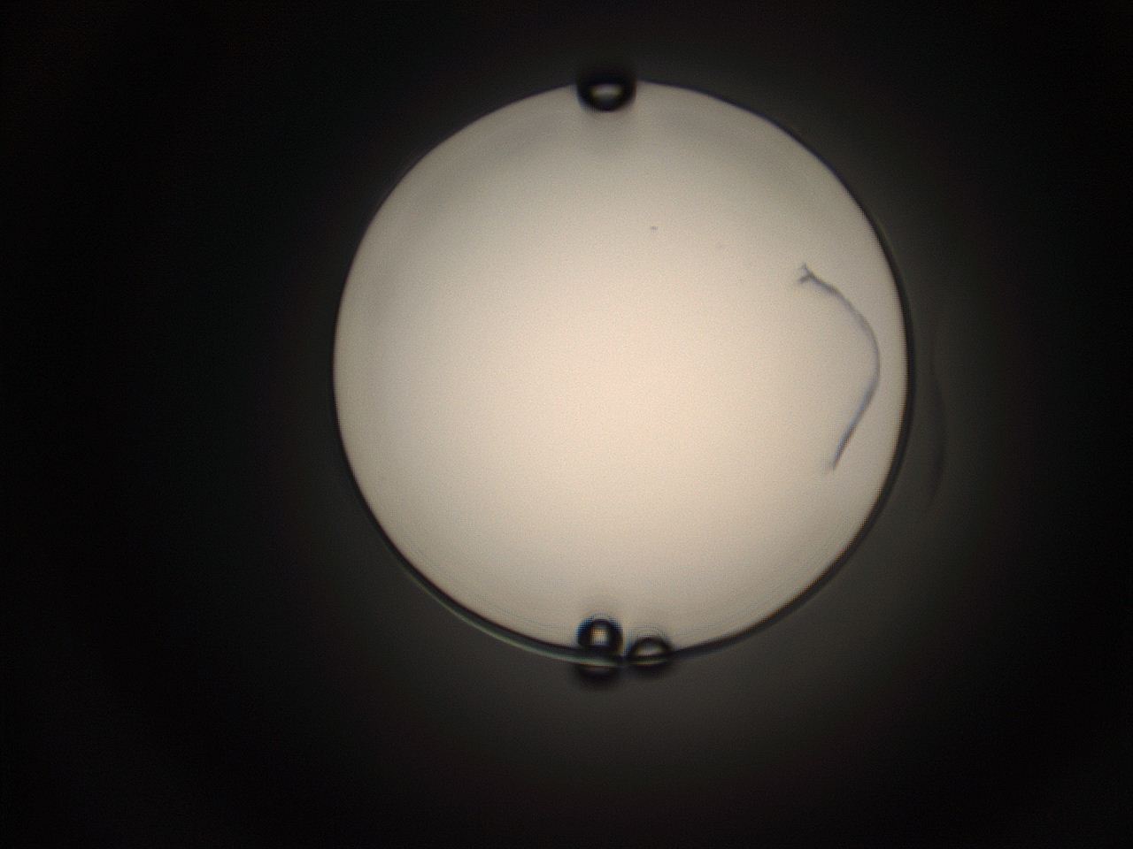 05q0_L12_ImagerDefaults_1.jpg