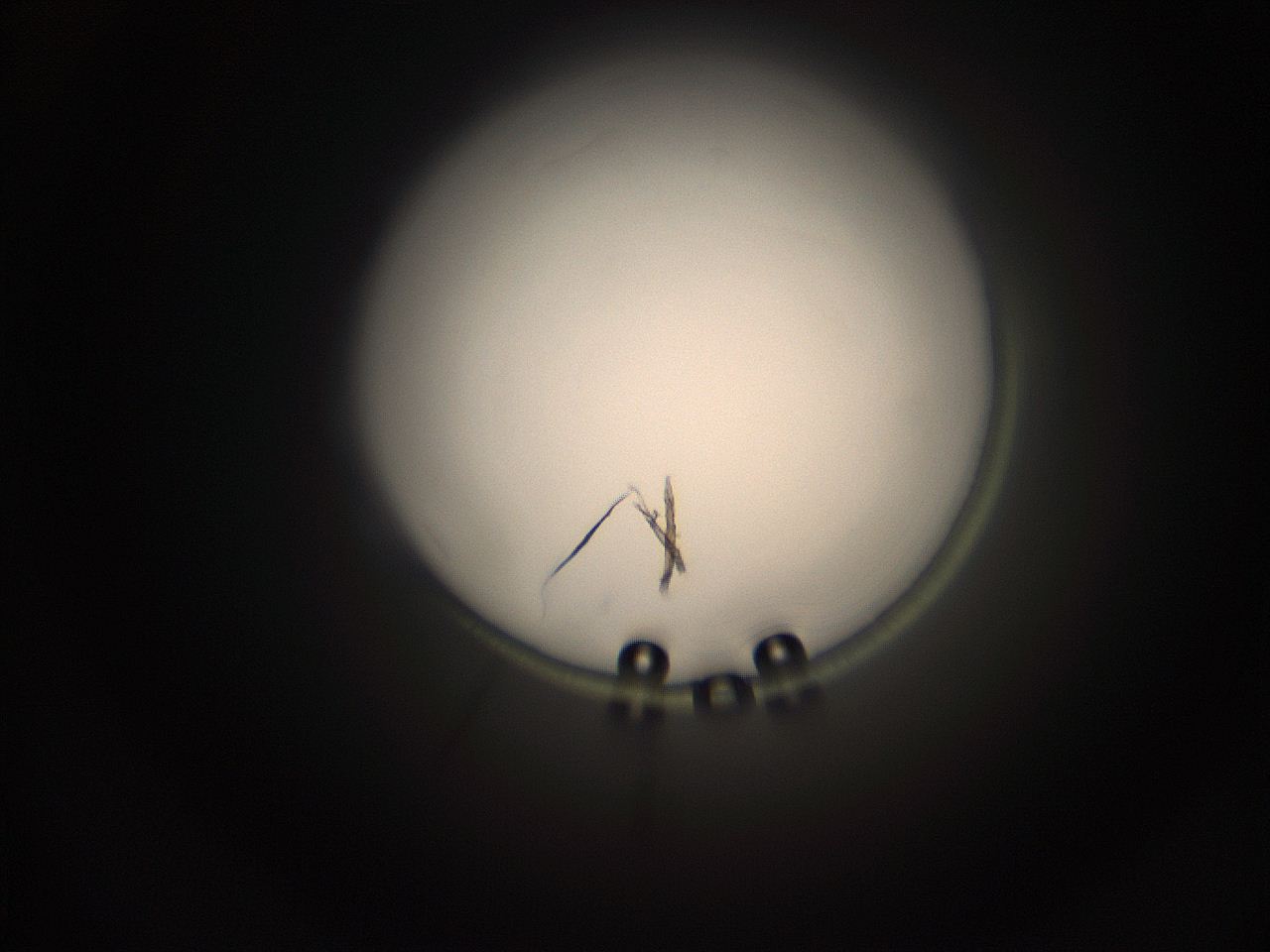 05q0_M6_ImagerDefaults_1.jpg