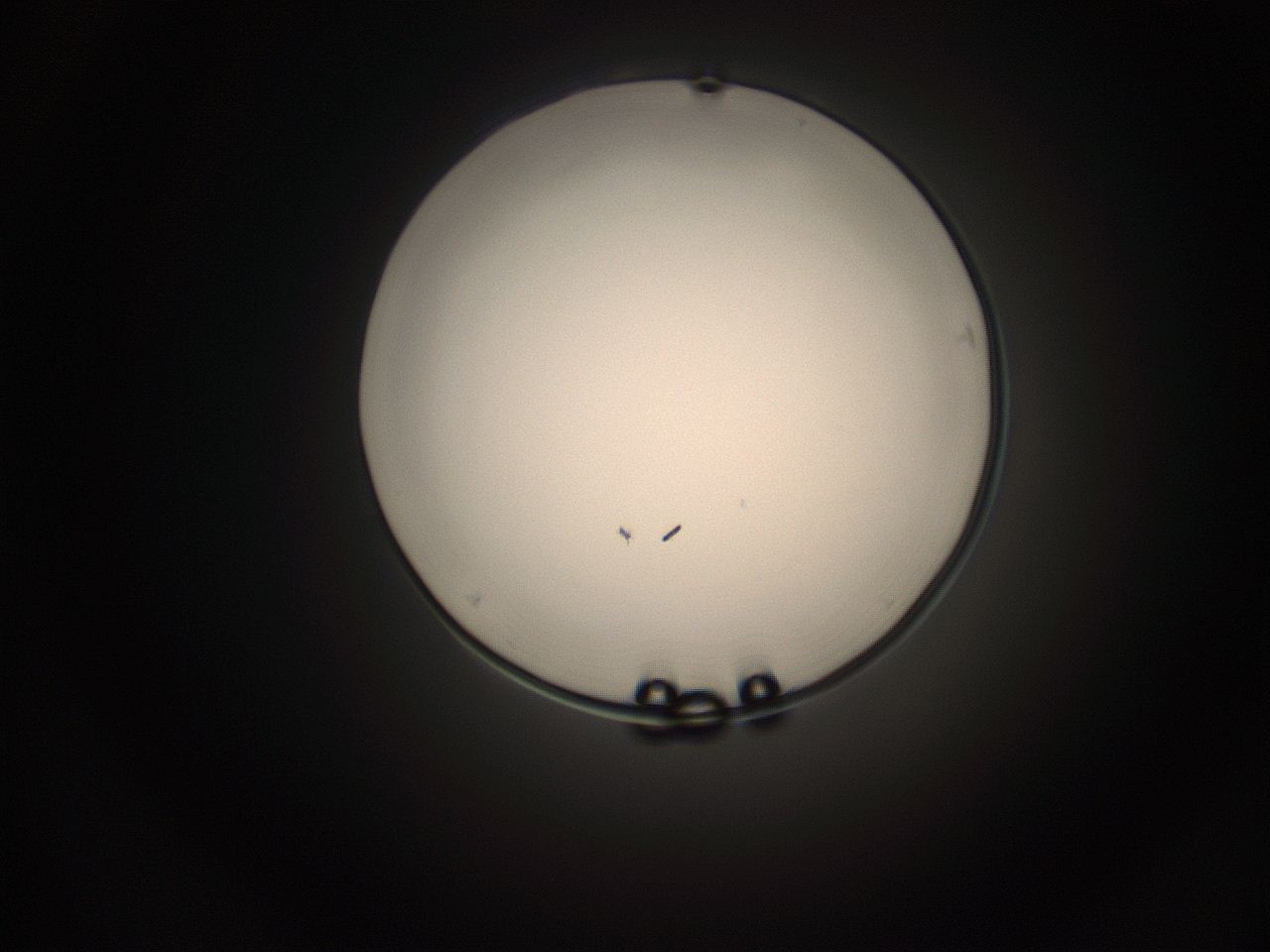 05q0_M10_ImagerDefaults_1.jpg
