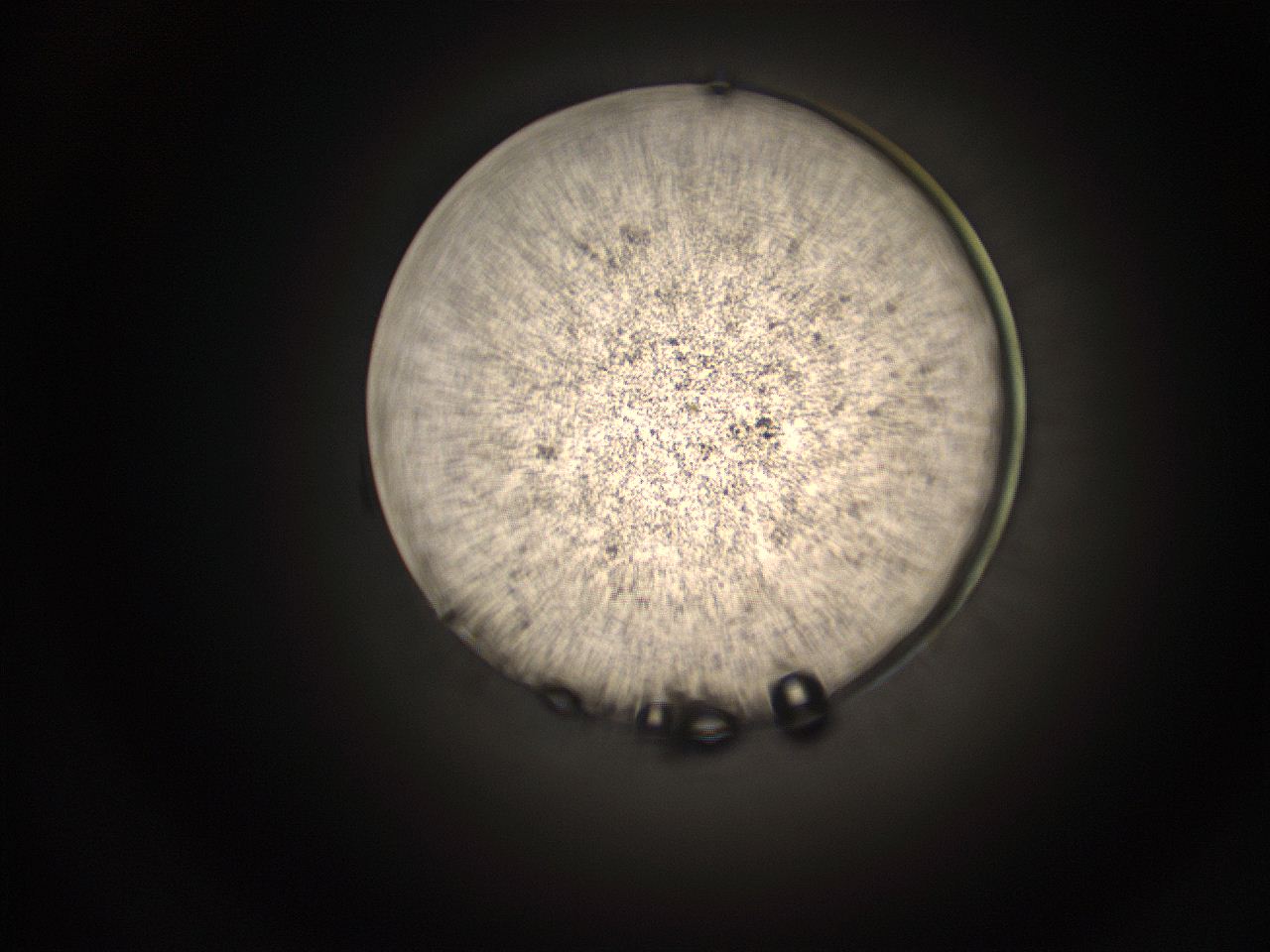 05q0_M13_ImagerDefaults_9.jpg