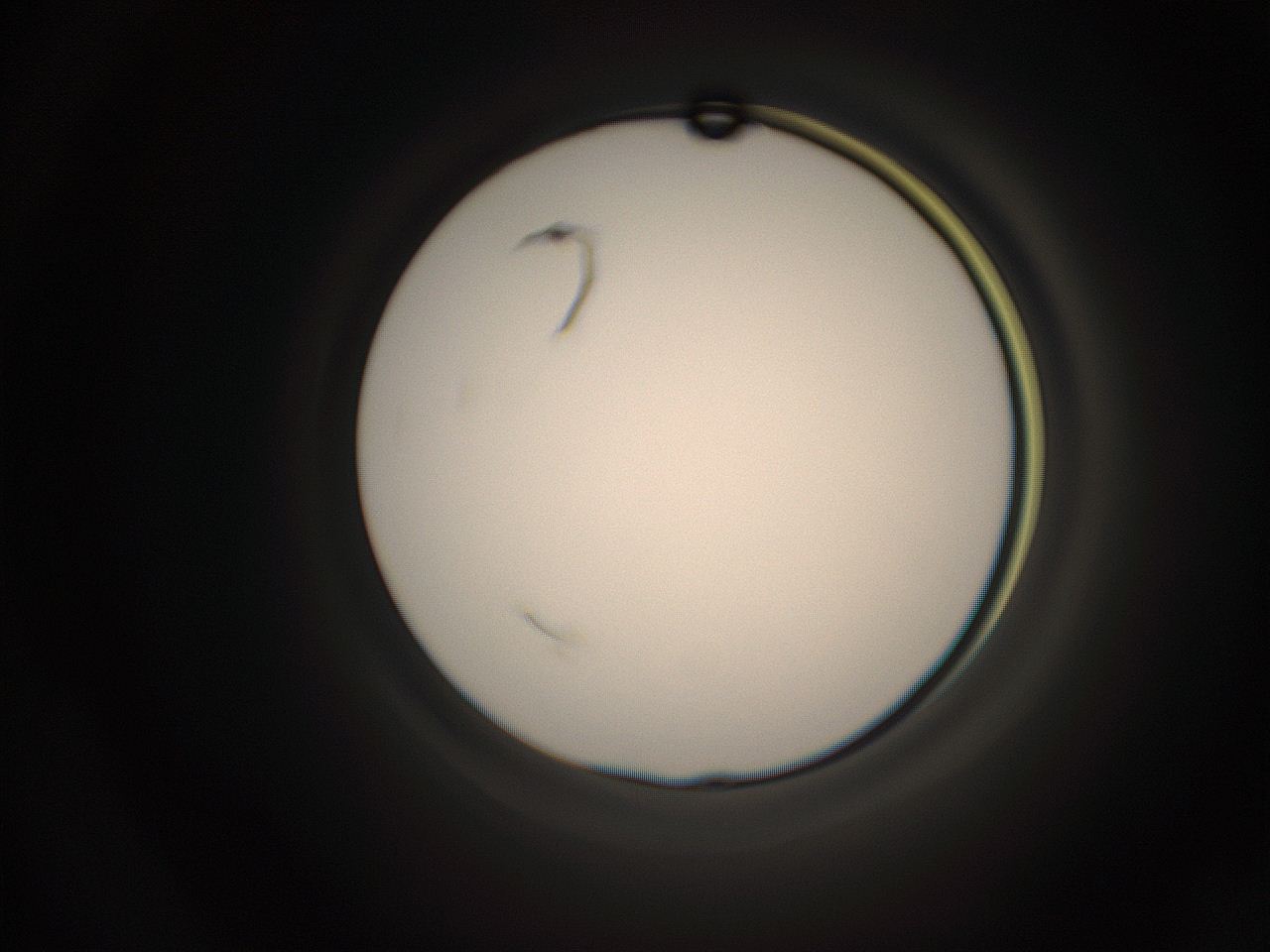 05q0_N20_ImagerDefaults_1.jpg
