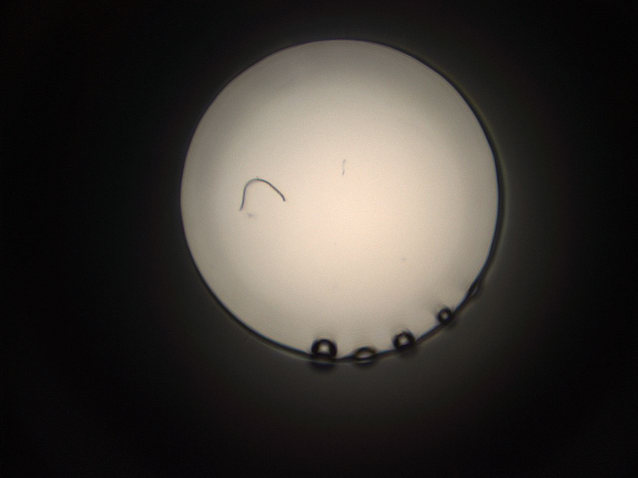 05q0_O11_ImagerDefaults_1.jpg