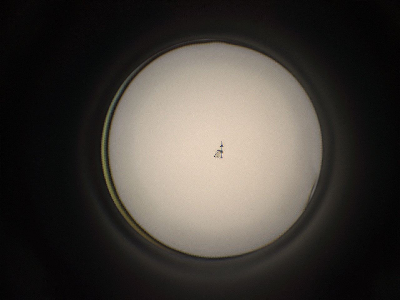 05q1_A6_ImagerDefaults_1.jpg