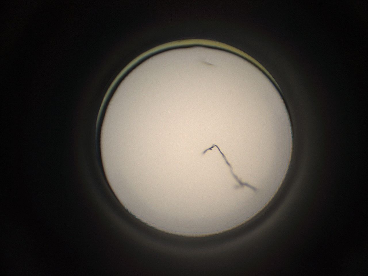 05q1_D19_ImagerDefaults_1.jpg