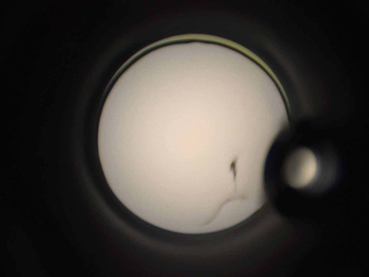 05q1_H20_ImagerDefaults_1.jpg