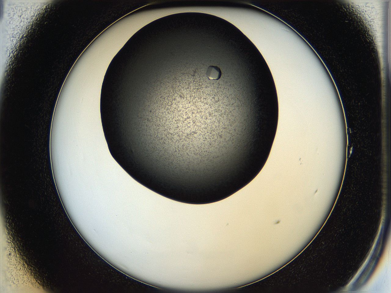 05q4_A1_ImagerDefaults_9.jpg