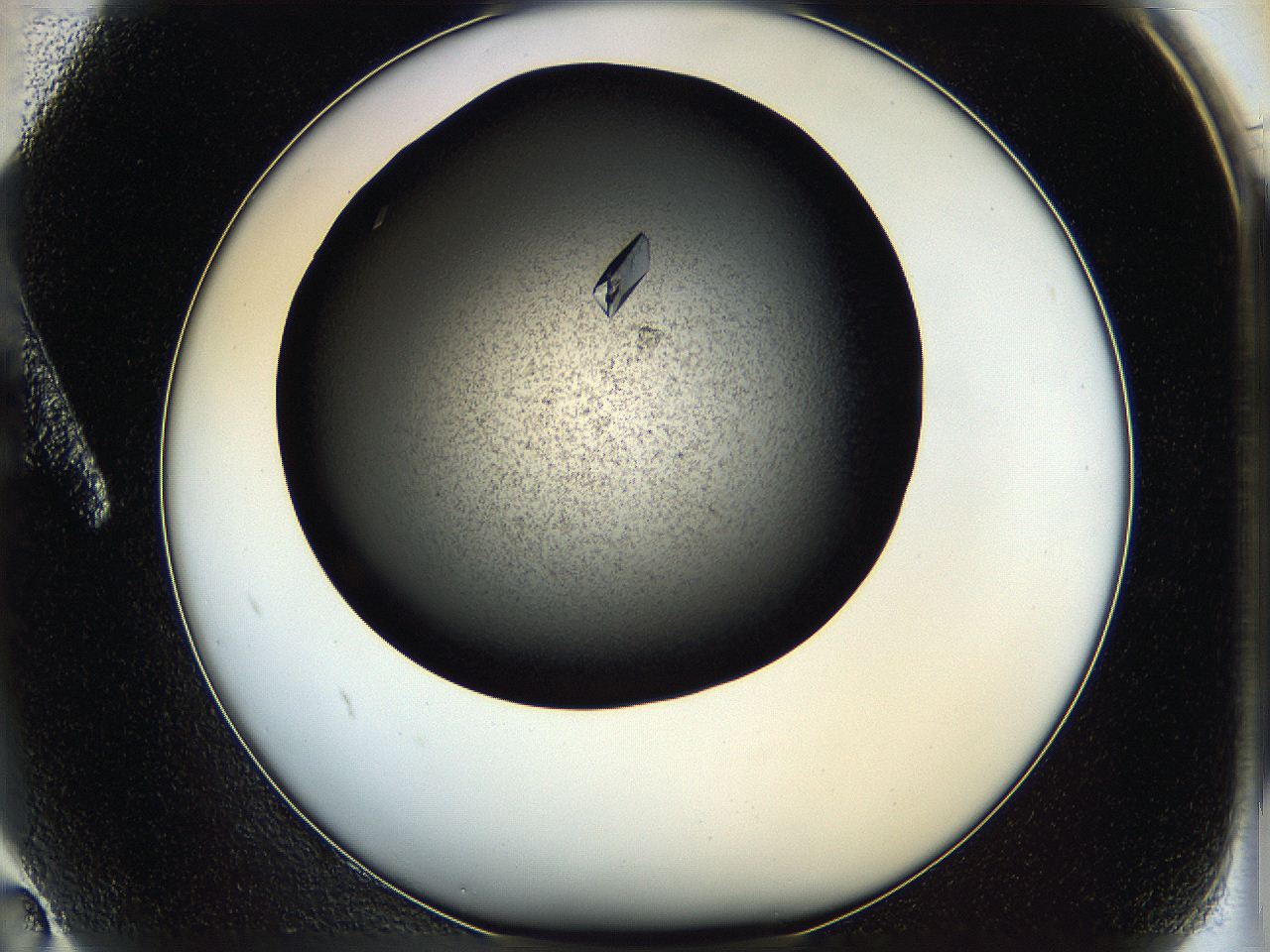 05q4_A2_ImagerDefaults_9.jpg