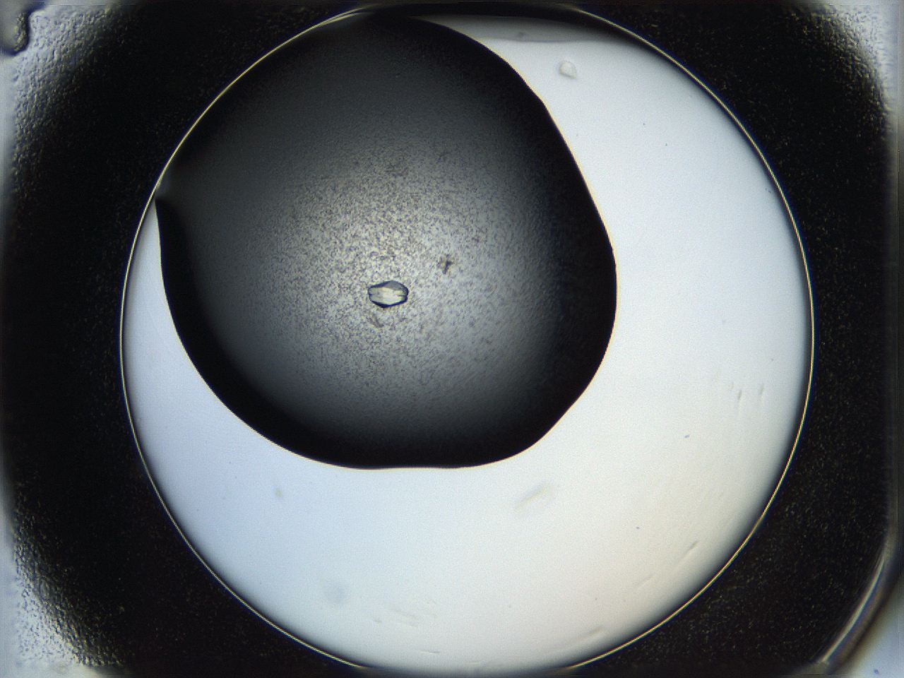 05q4_A4_ImagerDefaults_8.jpg