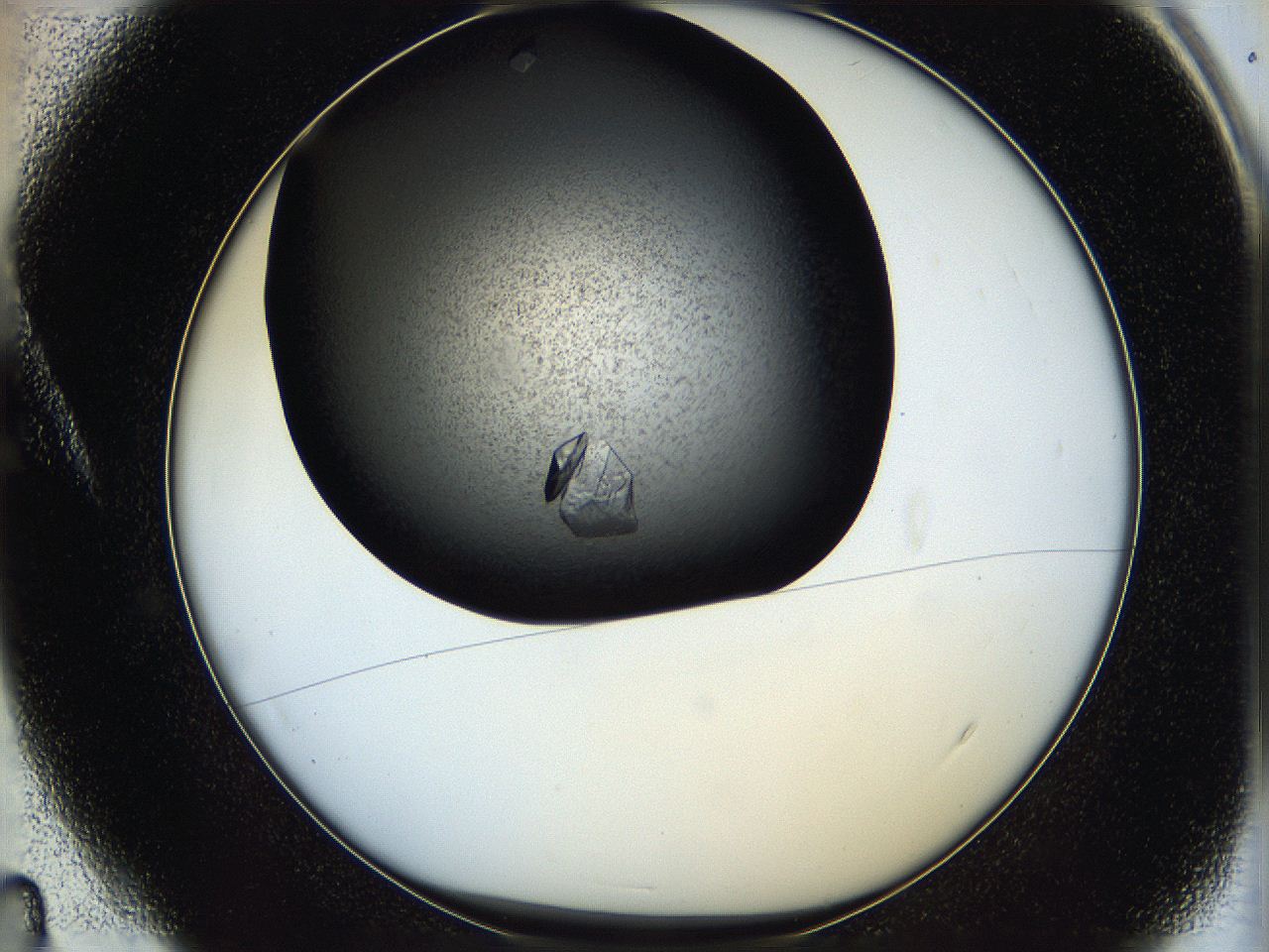05q4_A4_ImagerDefaults_9.jpg