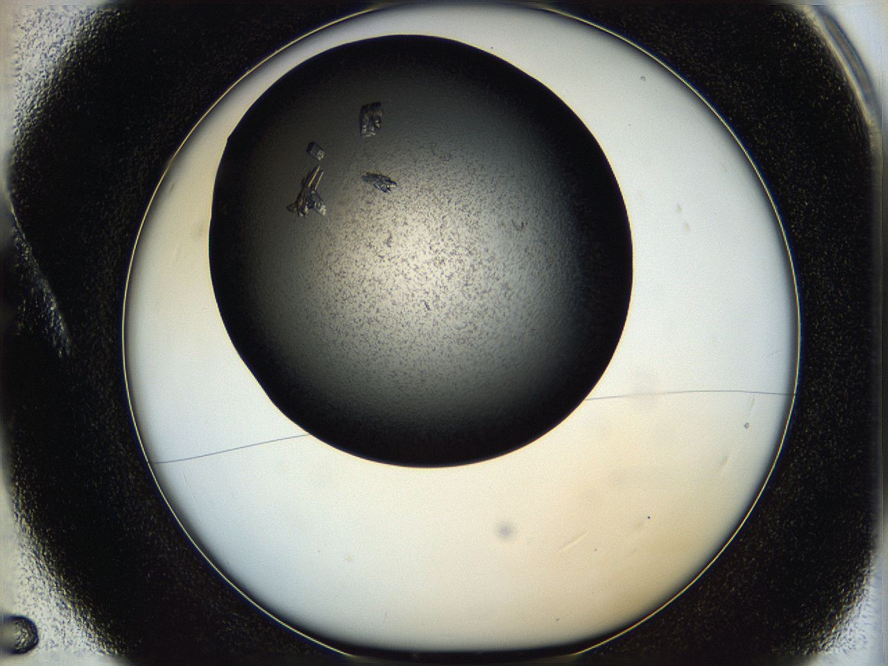 05q4_A5_ImagerDefaults_7.jpg