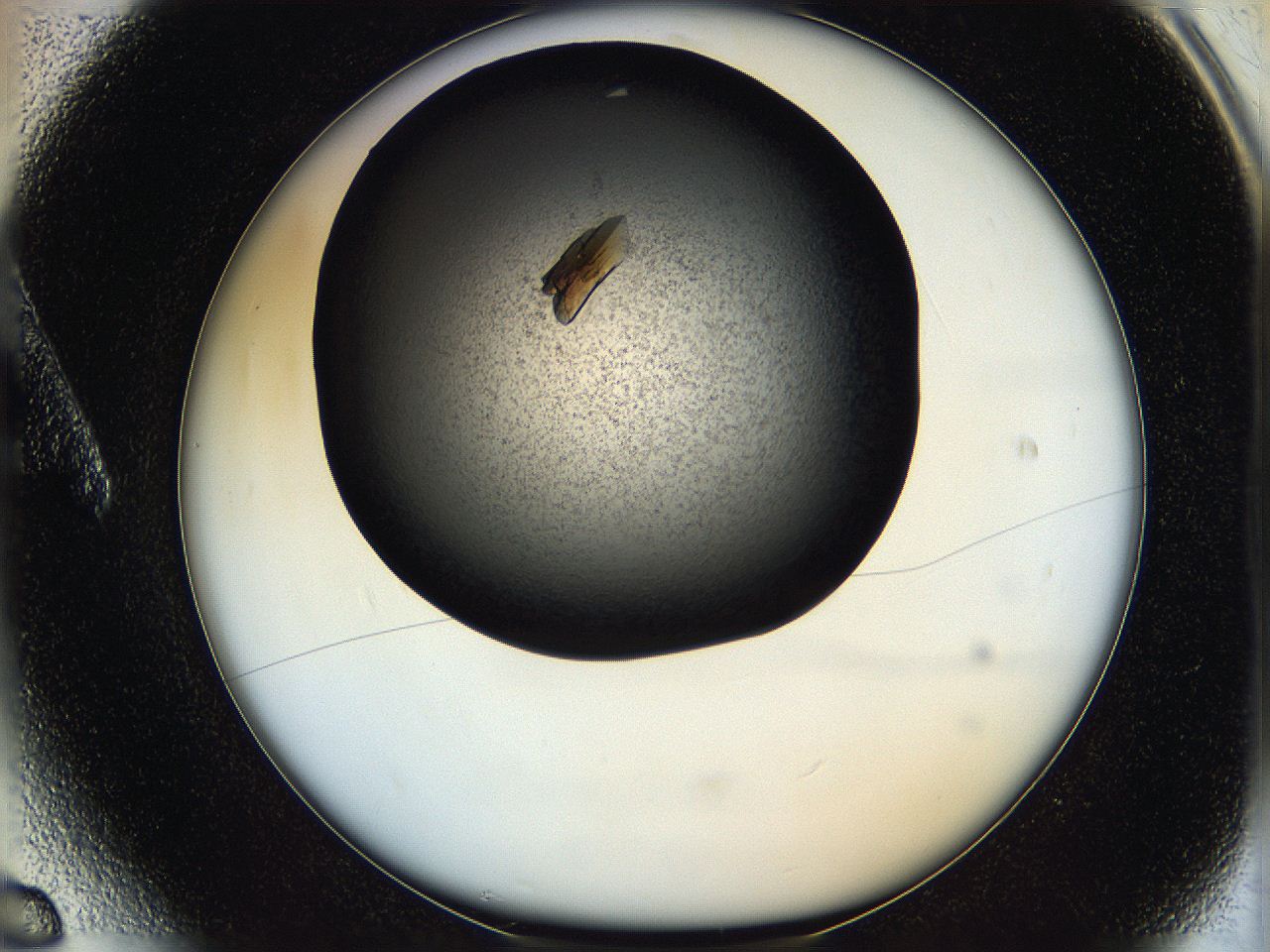 05q4_A6_ImagerDefaults_8.jpg