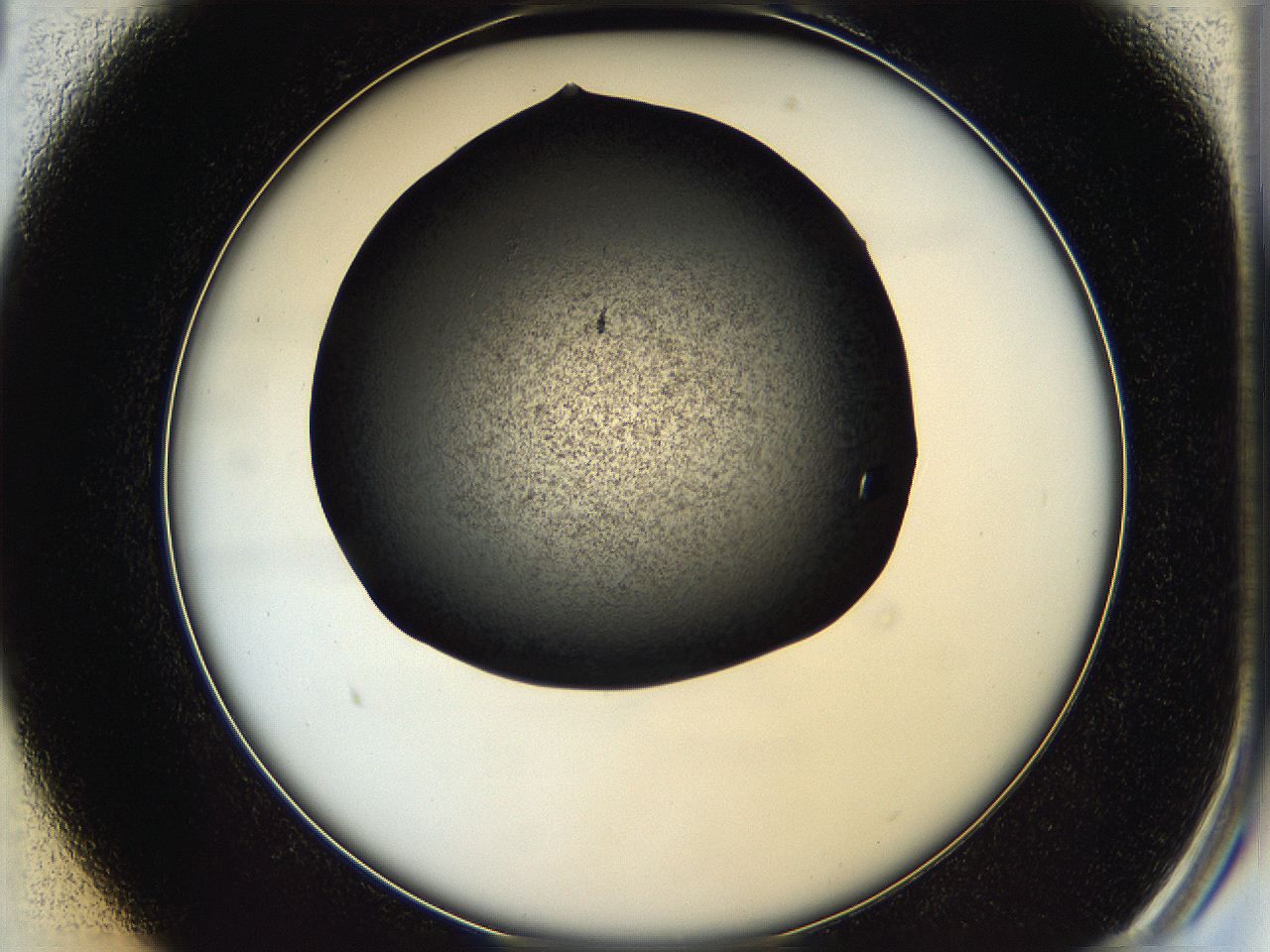 05q4_B1_ImagerDefaults_7.jpg