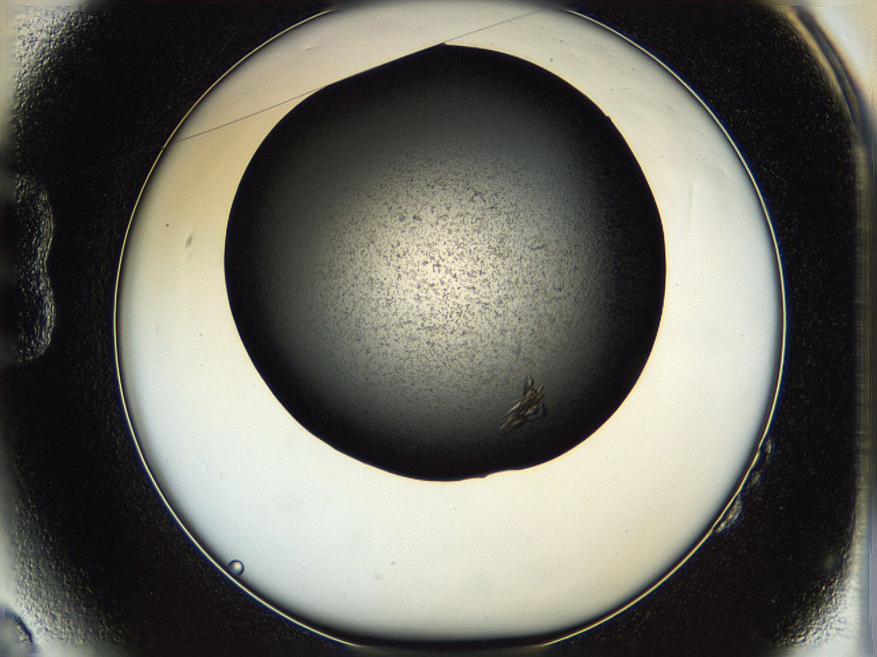 05q4_B2_ImagerDefaults_7.jpg