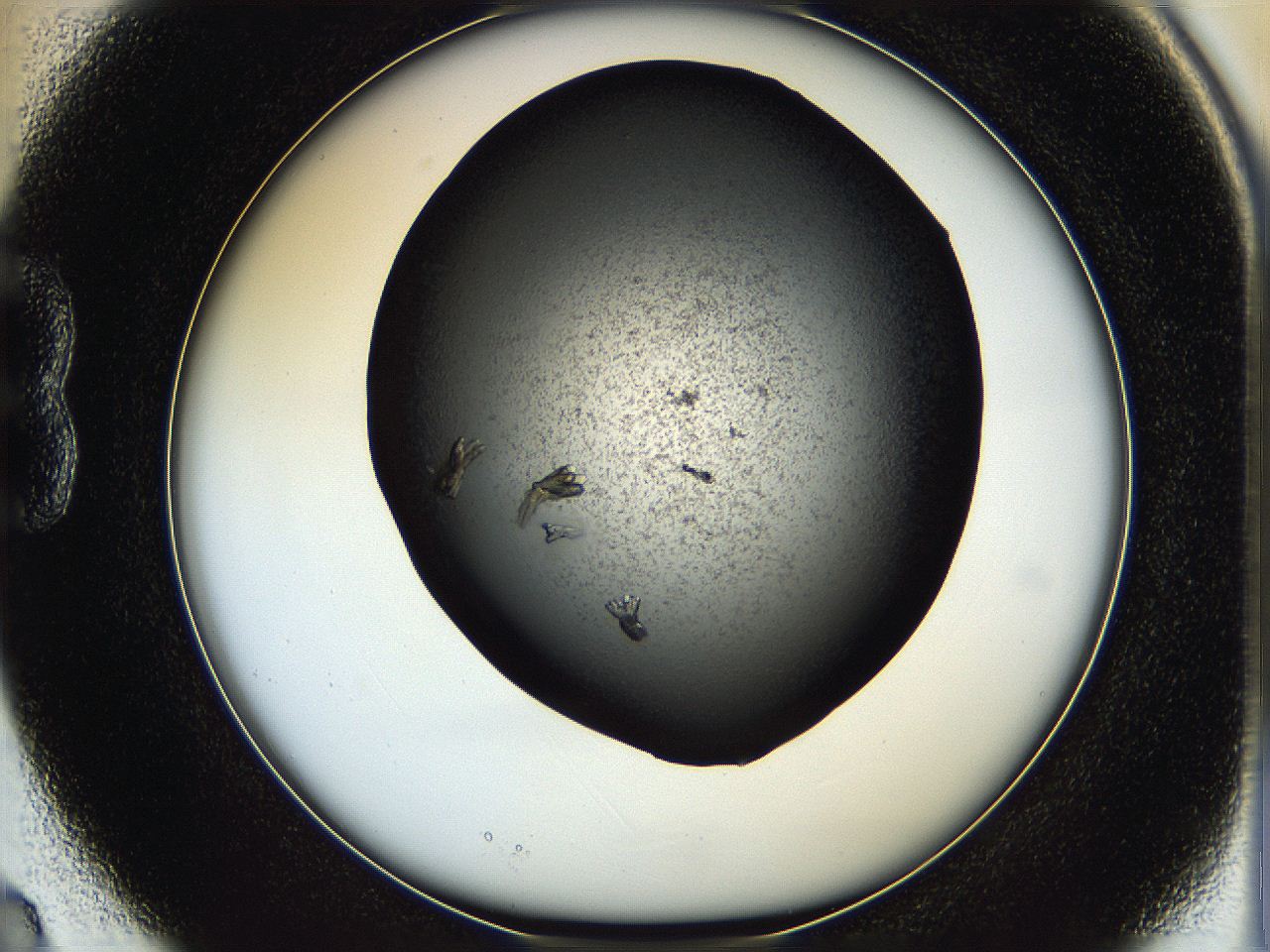 05q4_B3_ImagerDefaults_7.jpg