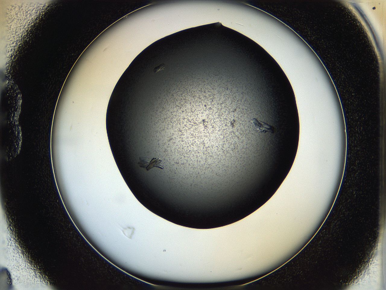 05q4_B4_ImagerDefaults_7.jpg