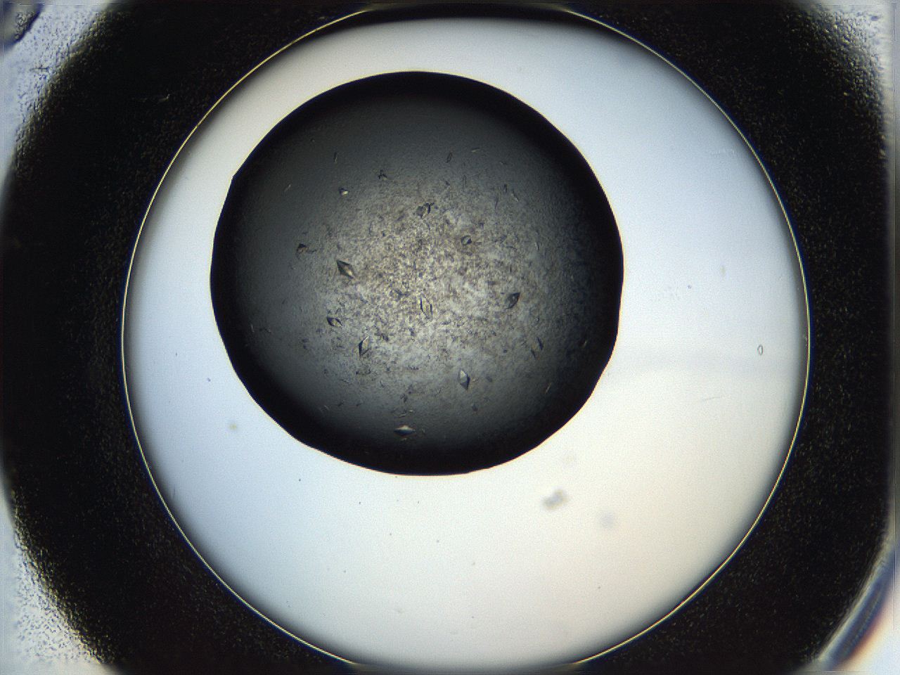 05q4_B5_ImagerDefaults_8.jpg