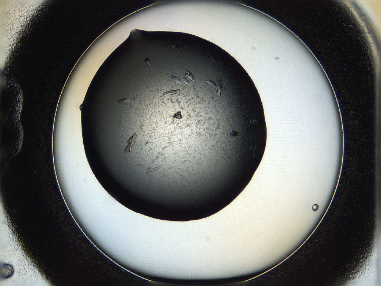 05q4_B5_ImagerDefaults_7.jpg