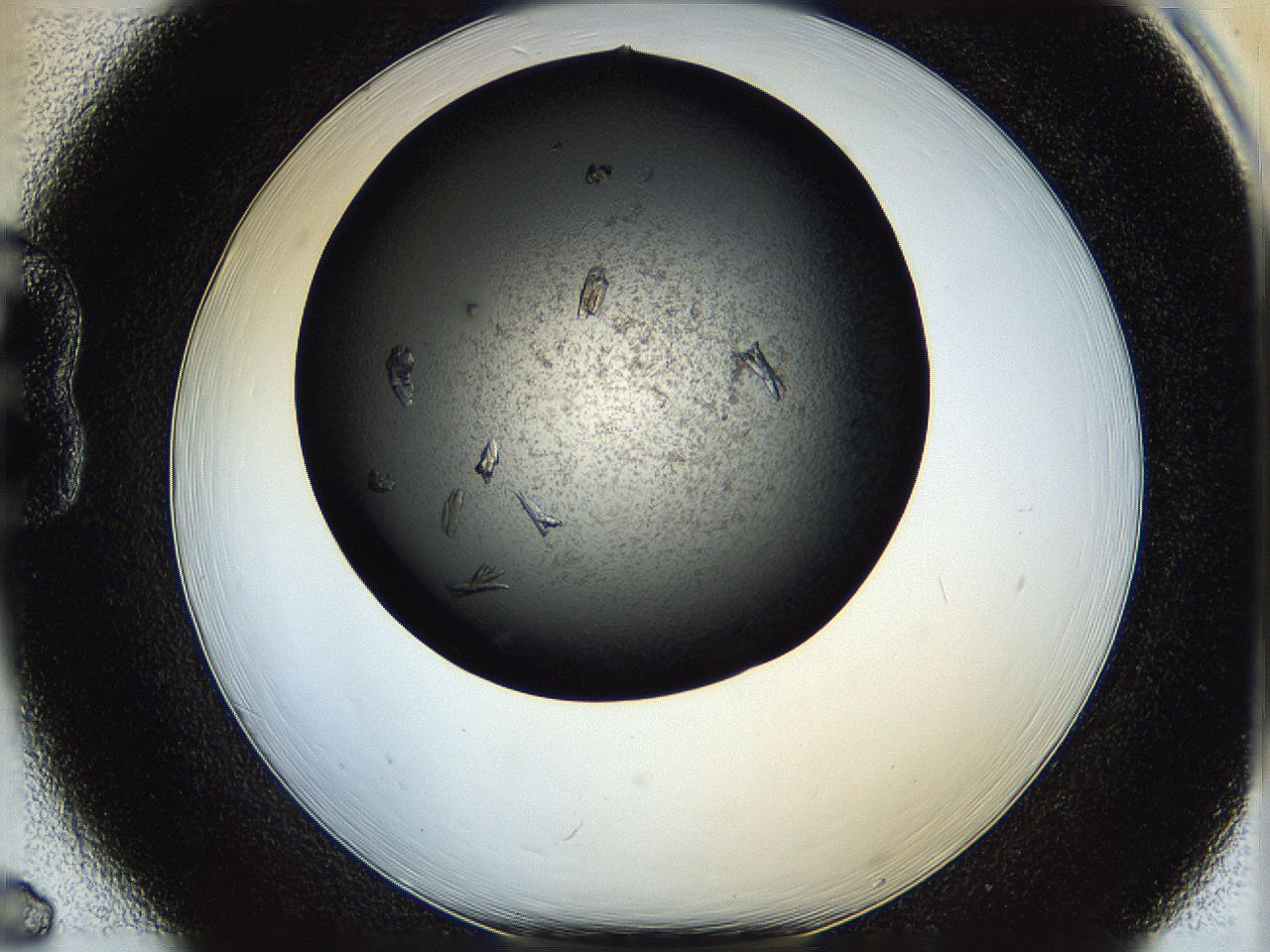 05q4_B6_ImagerDefaults_7.jpg