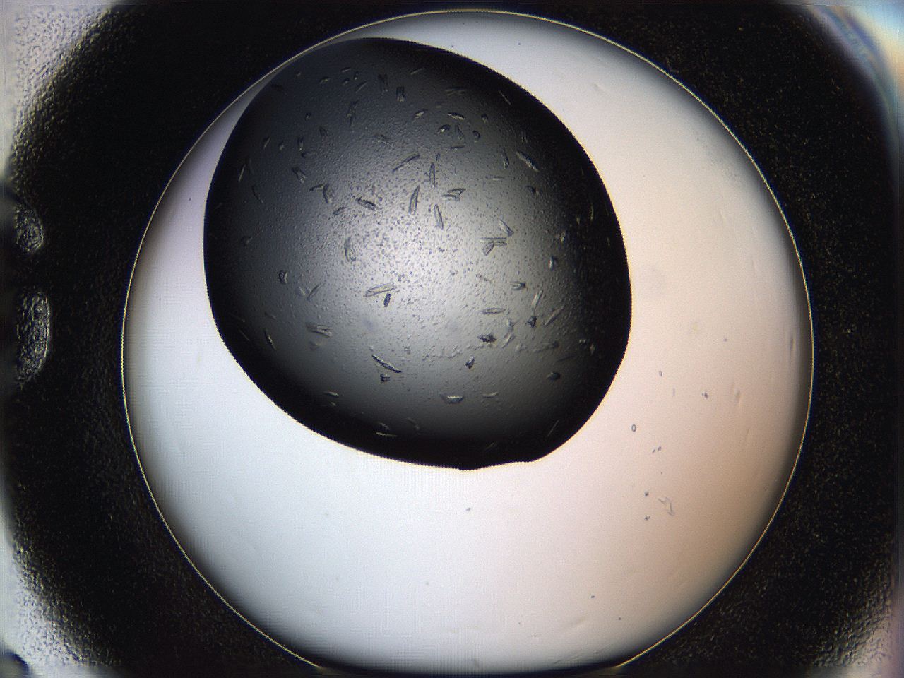 05q6_G8_ImagerDefaults_7.jpg