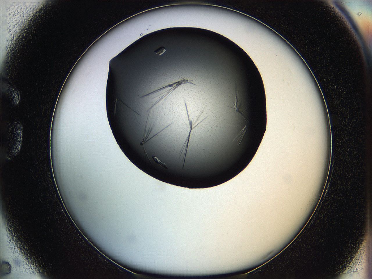 05q6_G5_ImagerDefaults_8.jpg